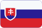 Roulements SKF Slovensky